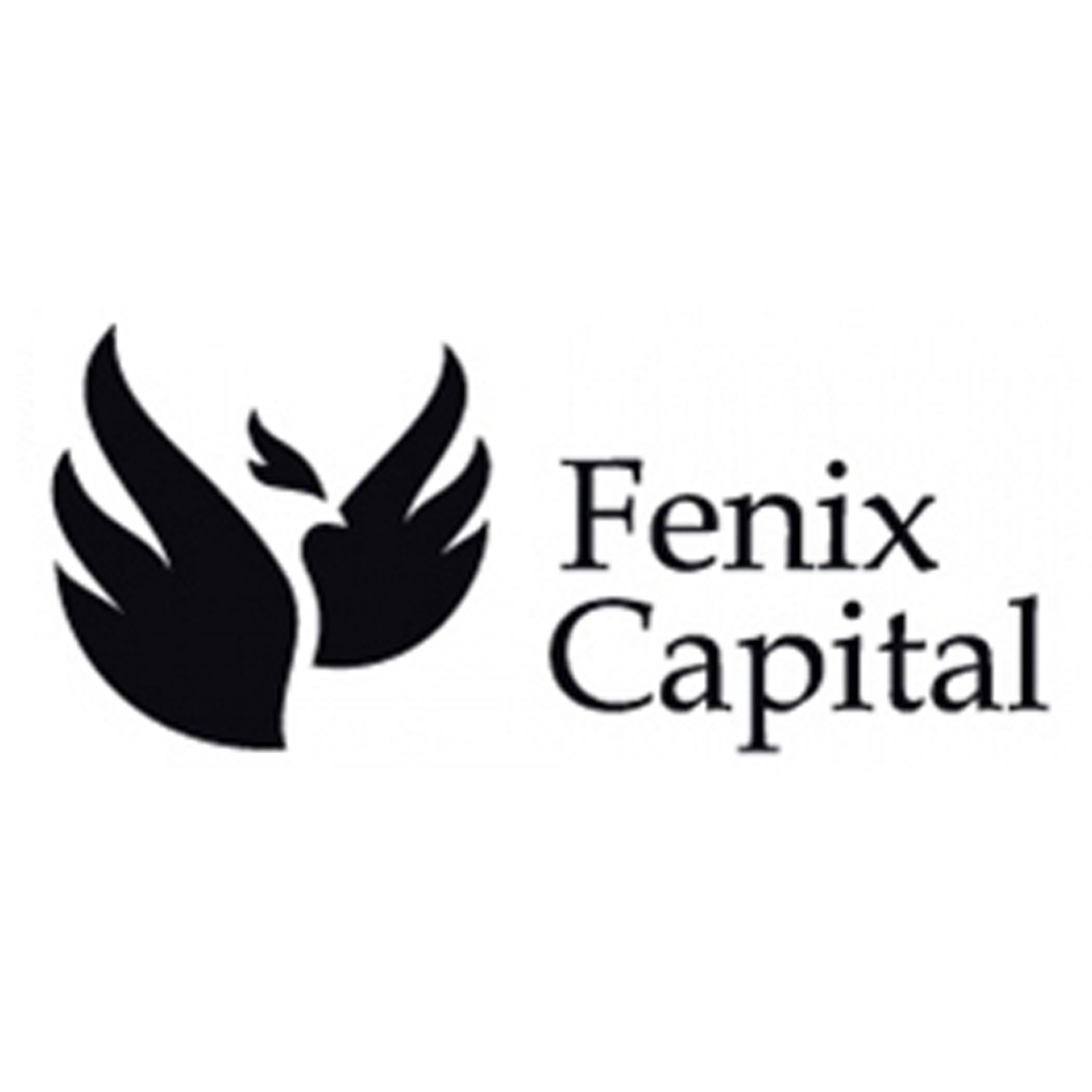 inwestorzy_fenix_capital.jpg
